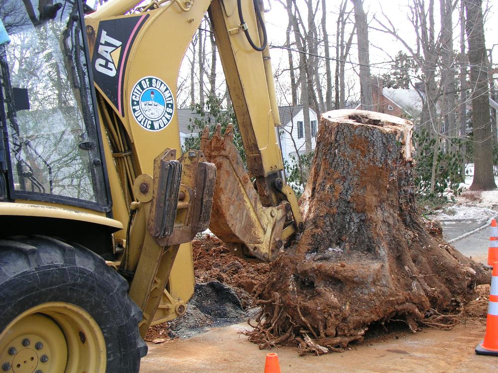 Community Services Operations 4